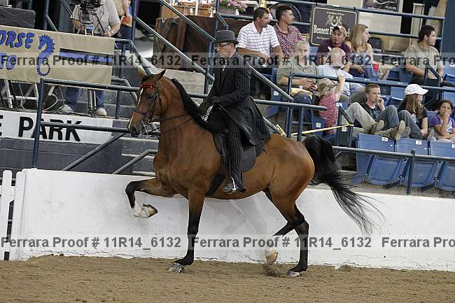 Proof 11r14_6132