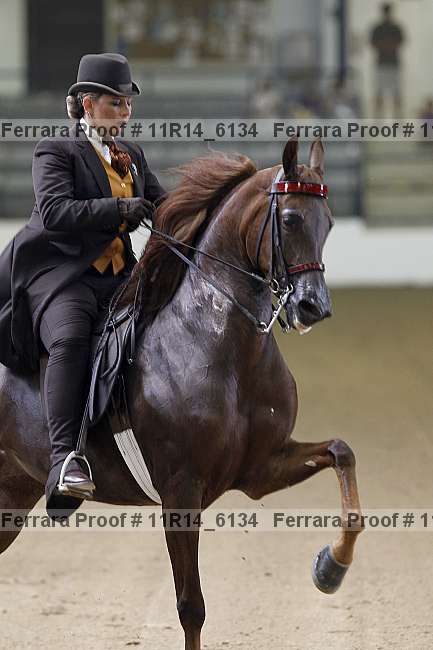 Proof 11r14_6134