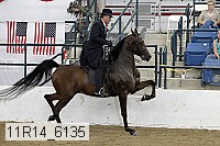 11r14_6135 proof