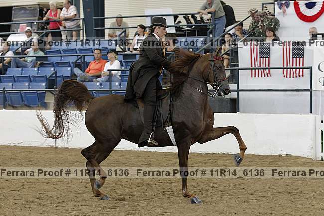 Proof 11r14_6136