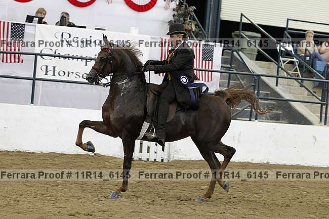 Proof 11r14_6145