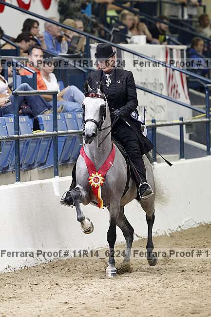 Proof 11r14_6224