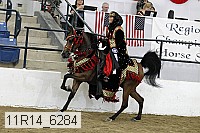 11r14_6284 proof