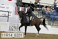 11r14_6331 proof