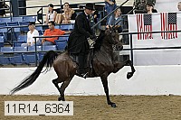 11r14_6364 proof