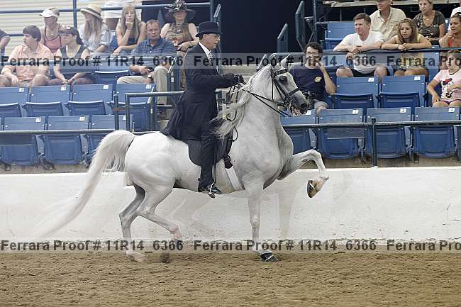 Proof 11r14_6366
