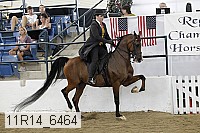 11r14_6464 proof