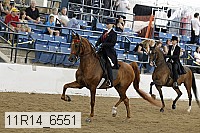 11r14_6551 proof