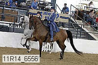 11r14_6556 proof