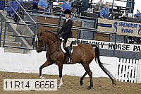 11r14_6656 proof