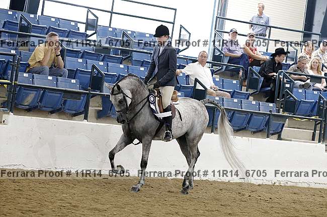 Proof 11r14_6705