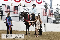 11r14_6737 proof