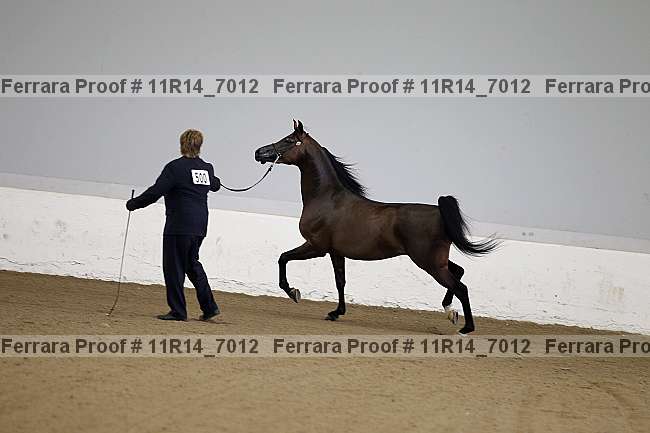 Proof 11r14_7012