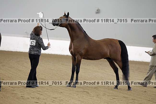 Proof 11r14_7015