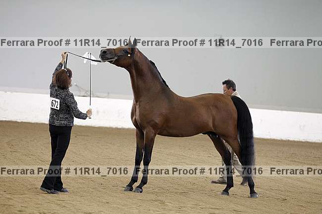 Proof 11r14_7016