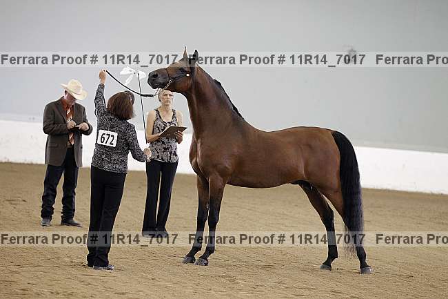 Proof 11r14_7017
