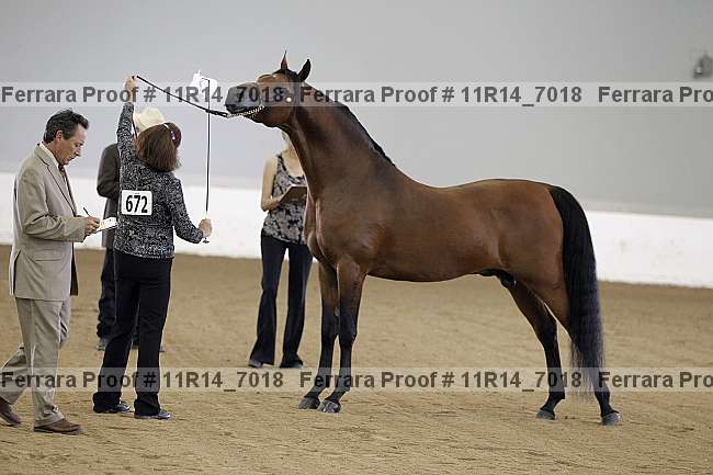 Proof 11r14_7018