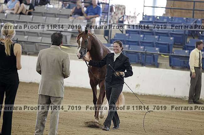 Proof 11r14_7019
