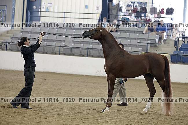Proof 11r14_7020