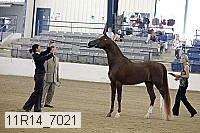 11r14_7021 proof