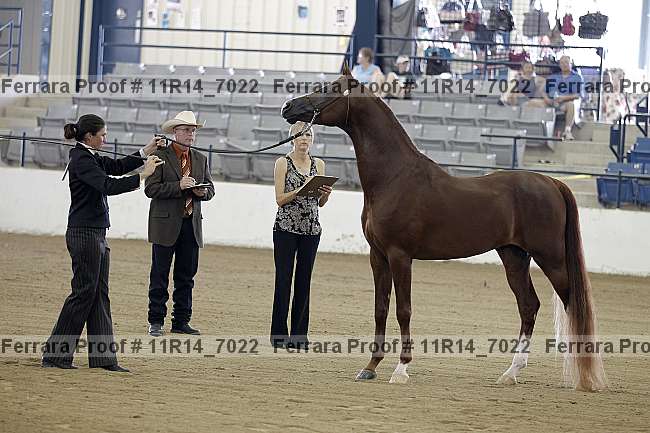 Proof 11r14_7022