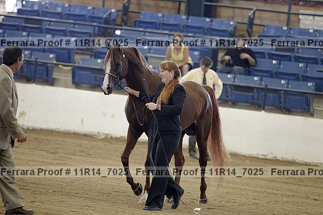 Proof 11r14_7025