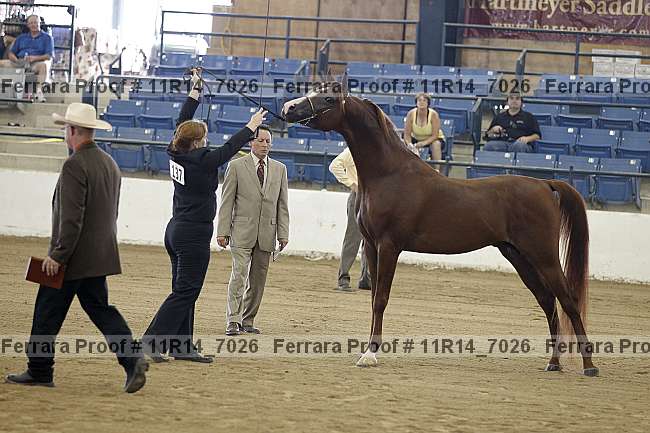 Proof 11r14_7026