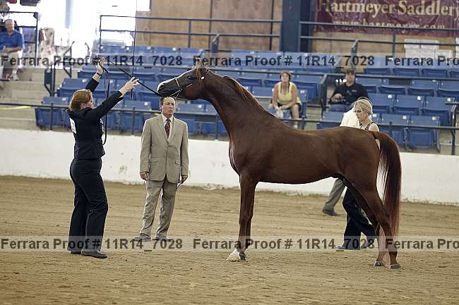 Proof 11r14_7028