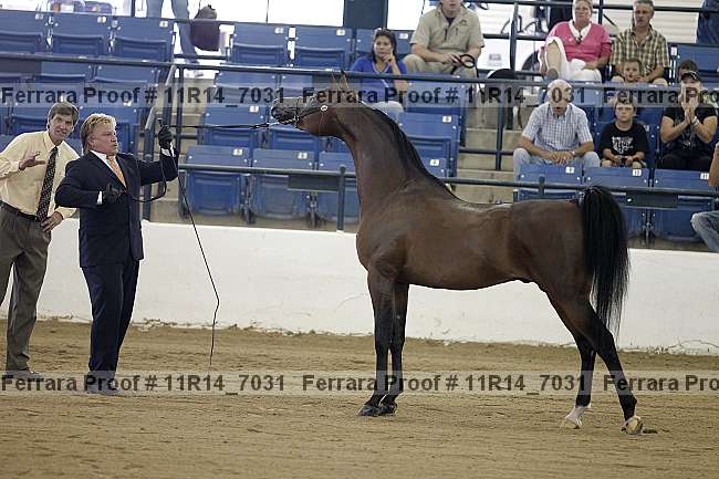 Proof 11r14_7031