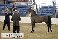 11r14_7032 proof
