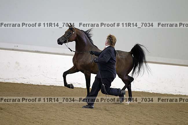 Proof 11r14_7034