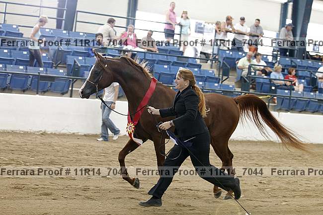 Proof 11r14_7044