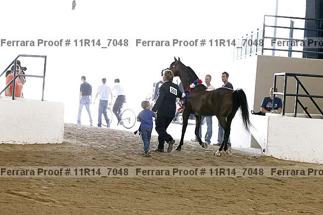 Proof 11r14_7048