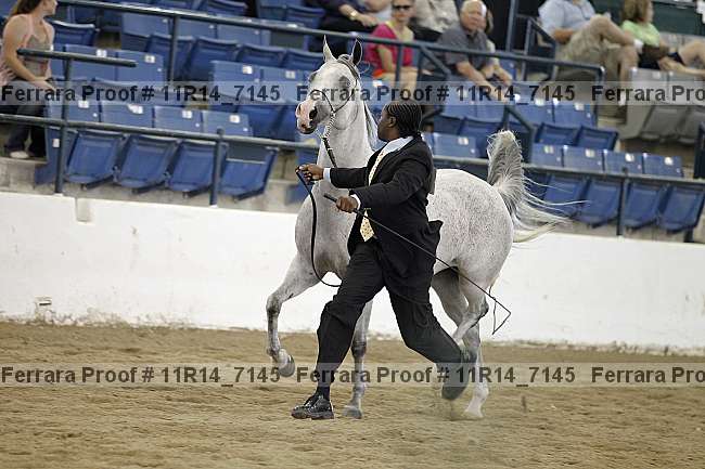 Proof 11r14_7145
