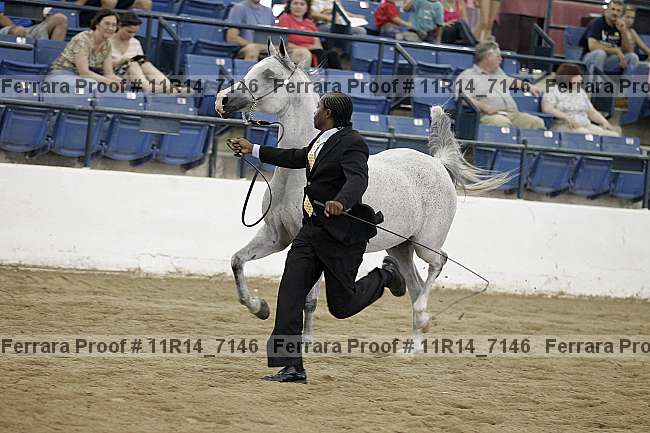 Proof 11r14_7146
