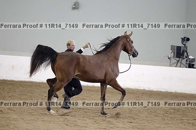 Proof 11r14_7149