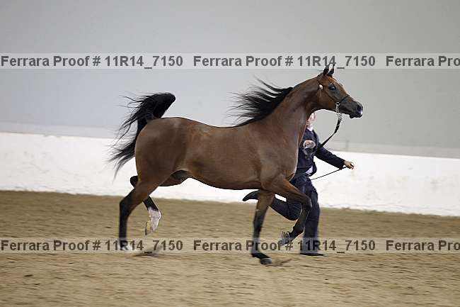 Proof 11r14_7150