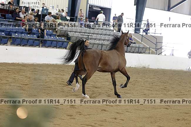 Proof 11r14_7151