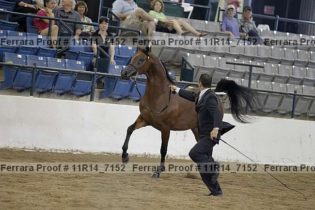 Proof 11r14_7152