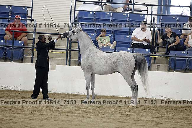 Proof 11r14_7153