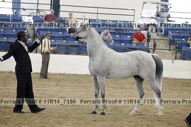 Proof 11r14_7156