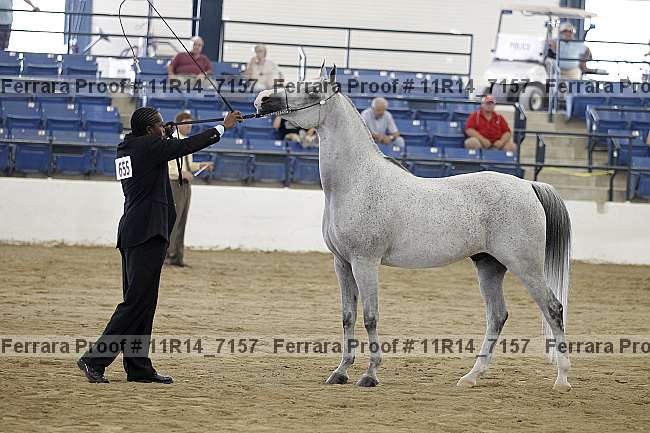Proof 11r14_7157