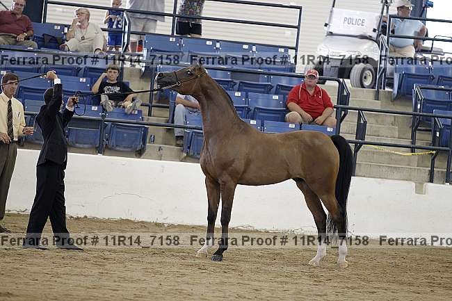 Proof 11r14_7158