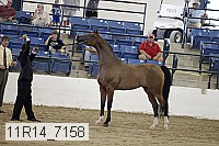 11r14_7158 proof