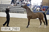 11r14_7161 proof