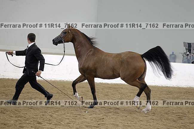 Proof 11r14_7162