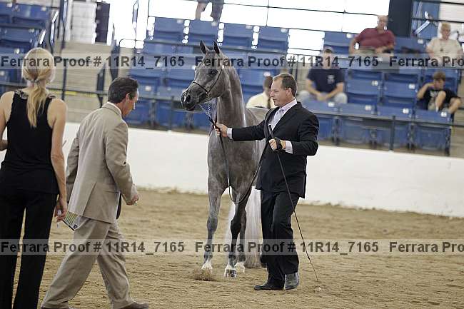 Proof 11r14_7165