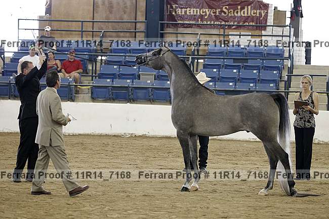 Proof 11r14_7168
