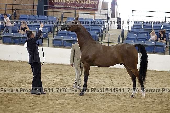Proof 11r14_7176