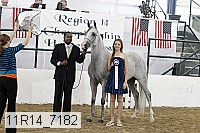 11r14_7182 proof